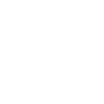 Patent-Pending Settlement Blockchain & AI